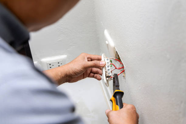 Best Electric Panel Repair  in Monongah, WV